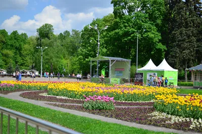 Файл:Парк Сокольники в Москве. Фото 11.jpg — Викимедиа