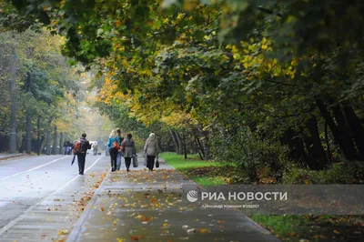 Парк Сокольники в Москве: фото, цены, история, отзывы, как добраться