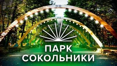 Парк Сокольники, Москва 2024: отели рядом, каток, фото, видео, как  добраться, отзывы — Туристер.Ру