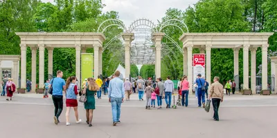 Парк Сокольники: мероприятия, еда, цены, билеты, карта, как добраться, часы  работы — ParkSeason