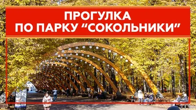 Парк Сокольники | Официальный сайт гостиницы \"Турист\", Москва