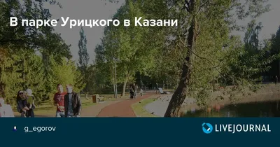 Голуби ходят по ох*енно тонкому льду (парк Урицкого, Казань ) | Пикабу
