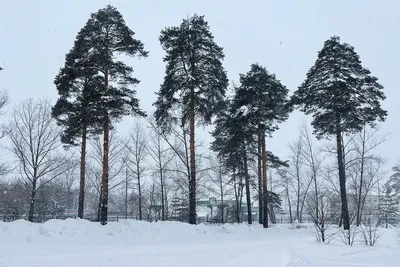 Парк имени Урицкого в Казани (Россия) с фото и отзывами