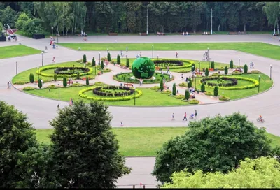 В тульском Центральном парке открылся аттракцион с динозаврами | КУЛЬТУРА |  АиФ Тула