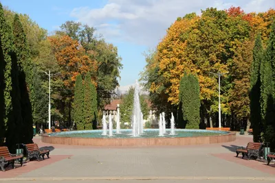 Центральный парк, Тула. Официальный сайт, аттракционы, мероприятия, фото,  видео, адрес, как доехать — Туристер.Ру