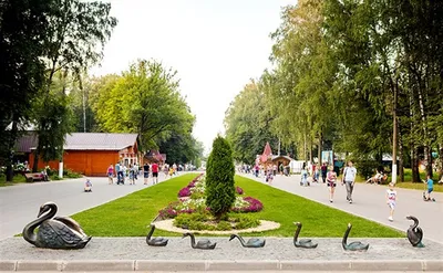 В Туле открыли катки в Центральном парке и на Казанской набережной -  Новости Тулы и области - 1tulatv