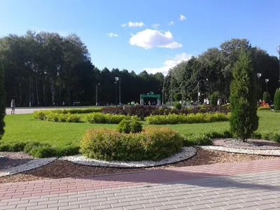 P. Belousov Central Park of Culture and Recreation - All You Need to Know  BEFORE You Go (with Photos)