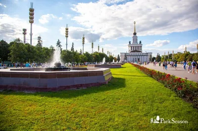 Сезон спорта: что предлагает ВДНХ зимой / Новости города / Сайт Москвы