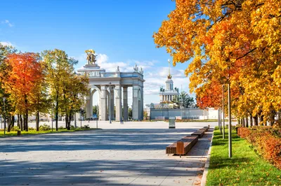 Парк вднх москва фото фотографии