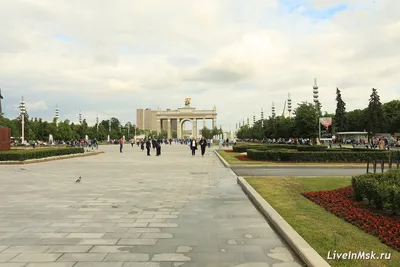 Sky Town. Высотный веревочный парк на ВДНХ