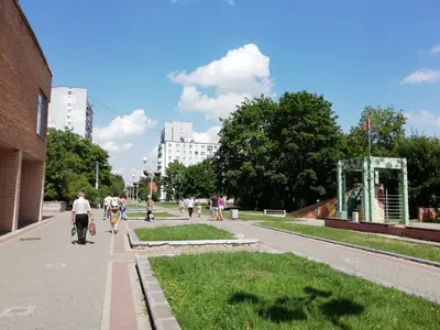 Пруд Gavrikovskiy и парк от видимости птиц, Москва Butovo, Россия Стоковое  Фото - изображение насчитывающей заречье, ослабьте: 150320978