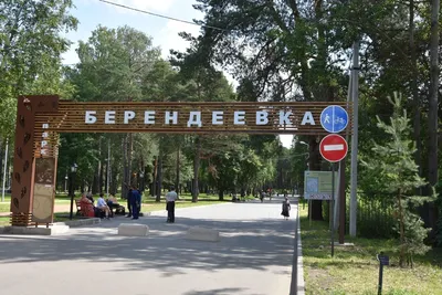Костромичи могут повлиять на развитие парка «Заволжье» | K1NEWS Кострома