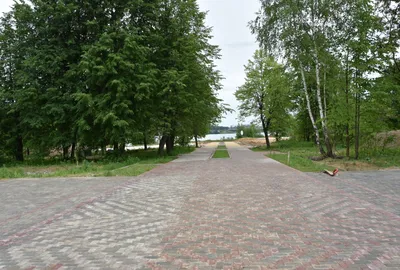 На заволжской набережной в Костроме появится парк