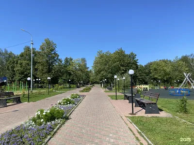 Как будет выглядеть заволжский парк после благоустройства? | K1NEWS Кострома