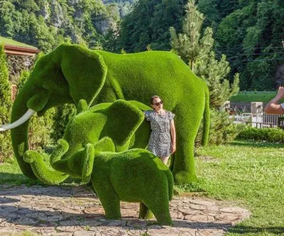 Потрясающие топиарные фигуры в парке \"Зеленая планета\" (Фото) - Телеграф