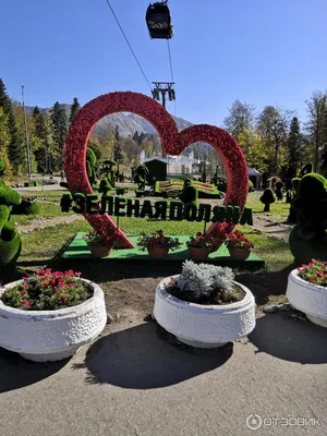 Все об отдыхе в Сочи: Парк \"Зеленая планета\" в Сочи.