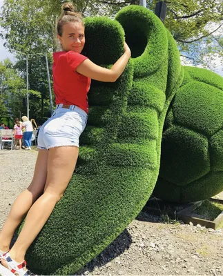 27 июля День Ангелов в парке «Зеленая Планета» | 26.07.2019 | Сочи -  БезФормата