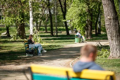 Дендрологический парк на Первомайской, отзыв от Anna_08 – \"Зеленый оазис  большого города\", Екатеринбург, Россия, Октябрь 2018