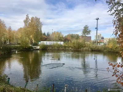 Дендрологический парк - выставка (Первомайская), Екатеринбург. Карта, фото,  как добраться – путеводитель по городу на EkMap.ru