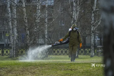 Протесты в сквере Екатеринбурга (2019) — Википедия