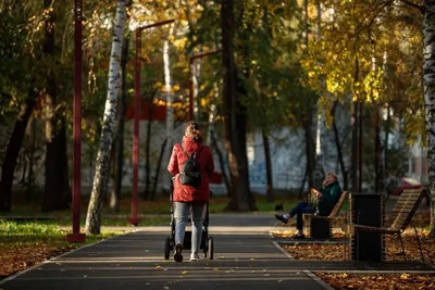 Цветущий город. В Екатеринбурге продолжается голосование за парки и скверы  | ОБЩЕСТВО | АиФ Урал