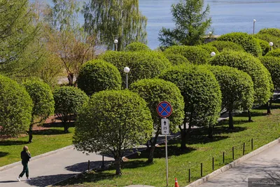 10 лучших парков Екатеринбурга. Где покормить белку и отдохнуть