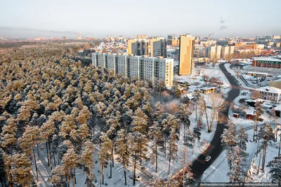 Мэрия Новосибирска выделила четверть города под парки и скверы