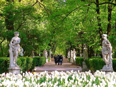 Павловский парк в Санкт-Петербурге