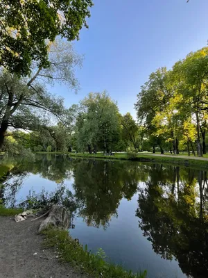 Пригороды Санкт-Петербурга: какие достопримечательности смотреть