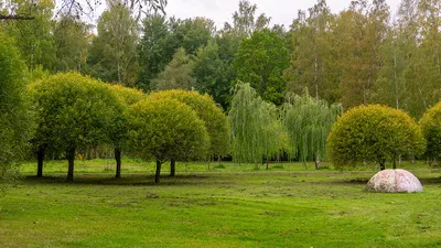 Осенние прогулки в пригородах Санкт-Петербурга. Самые живописные парки и  экотропы | Ассоциация Туроператоров