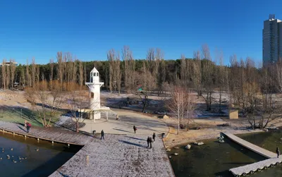 Почему пора начинать инвестировать в парки: воронежский кейс | Бизнес-кейс  на РБК+ Черноземье