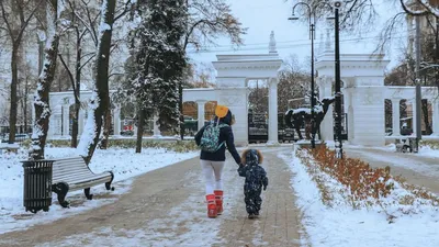 Возвращение в Центральный парк. Как прошёл в Воронеже «Город-сад» – Новости  Воронежа и Воронежской области – Вести Воронеж