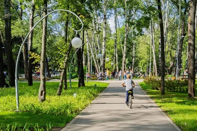 В Воронеже начали обрабатывать парки и скверы от клещей и комаров - KP.RU