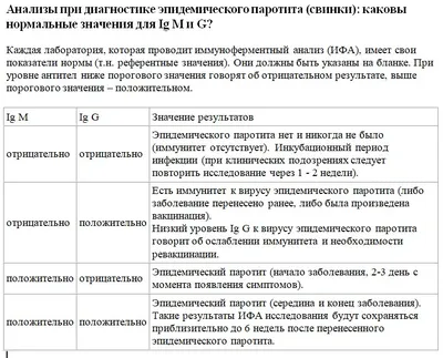 Шадринцев попросили не оставлять своих собак без присмотра | 24.05.2022 |  Курган - БезФормата