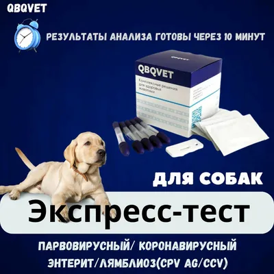 Наши пациенты