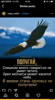 Пацанские паблики\", как отдельный вид искусства | Дневник бунтарки | Дзен