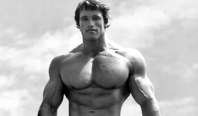 Обои Спорт Body Building, обои для рабочего стола, фотографии спорт, body  building, мотивация, тяжелая, атлетика, девушка, спортзал, штанга,  блондинка Обои для рабочего стола, скачать обои картинки заставки на рабочий  стол.