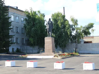 На ул. Академика Павлова в Туле сильный ветер повалил два столба - Новости  Тулы и области - MySlo.ru