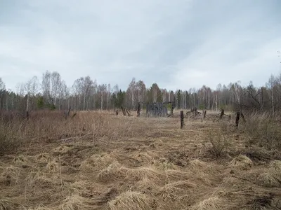 Открытый Портрет Печальная Девушка Задумчиво О Неприятностях Фотография,  картинки, изображения и сток-фотография без роялти. Image 10056186