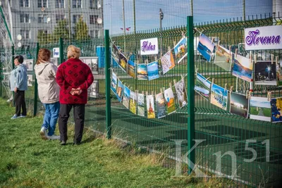 В Печенге чествуют бойца, чье подразделение убило 150 украинских солдат |  The Independent Barents Observer