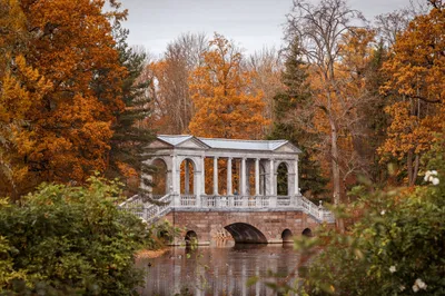 Литературные места в Петербурге – фото и описание