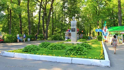 В Пензе парк Белинского лидирует в голосовании за благоустройство территории