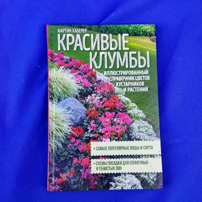 Доставка цветов недорого на дом круглосуточно в Омске – LAVANDA