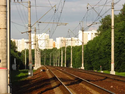 Переделкино: легендарный поселок писателей 🧭 цена экскурсии 6000 руб., 31  отзыв, расписание экскурсий в Москве