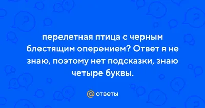 Что это за птица? Путеводитель по омским перелётным птицам - 23 марта 2019  - НГС55