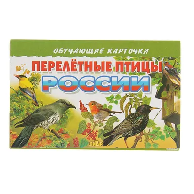 Иллюстрация 3 из 29 для Раскраска. Перелетные птицы | Лабиринт - книги.  Источник: Лабиринт