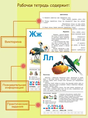 Перелетные птицы фото для детей фотографии