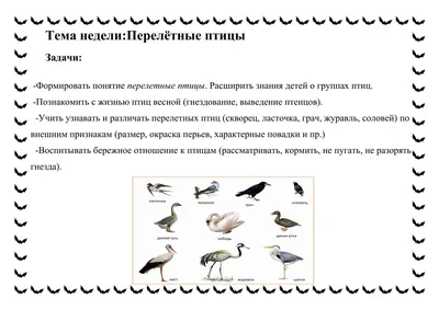 Обучающие карточки Перелетные птицы России, 16 карточек - купить с  доставкой по выгодным ценам в интернет-магазине OZON (254878338)