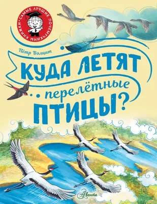 Перелетные птицы вернутся в регион позже обычного из‑за холодной весны - В  регионе - РИАМО в Подольске