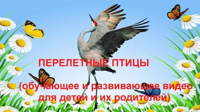 В столичный регион возвращаются перелетные птицы - Российская газета